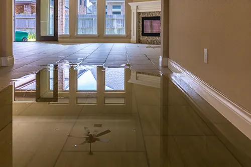 TriState Business Insurance - Are Flood and Earthquake Damage Covered Under a Standard Insurance Policy?